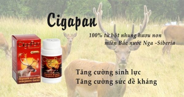 Viên Uống Nhung Hươu Cigapan Nga Lọ 60 Viên - Amuda